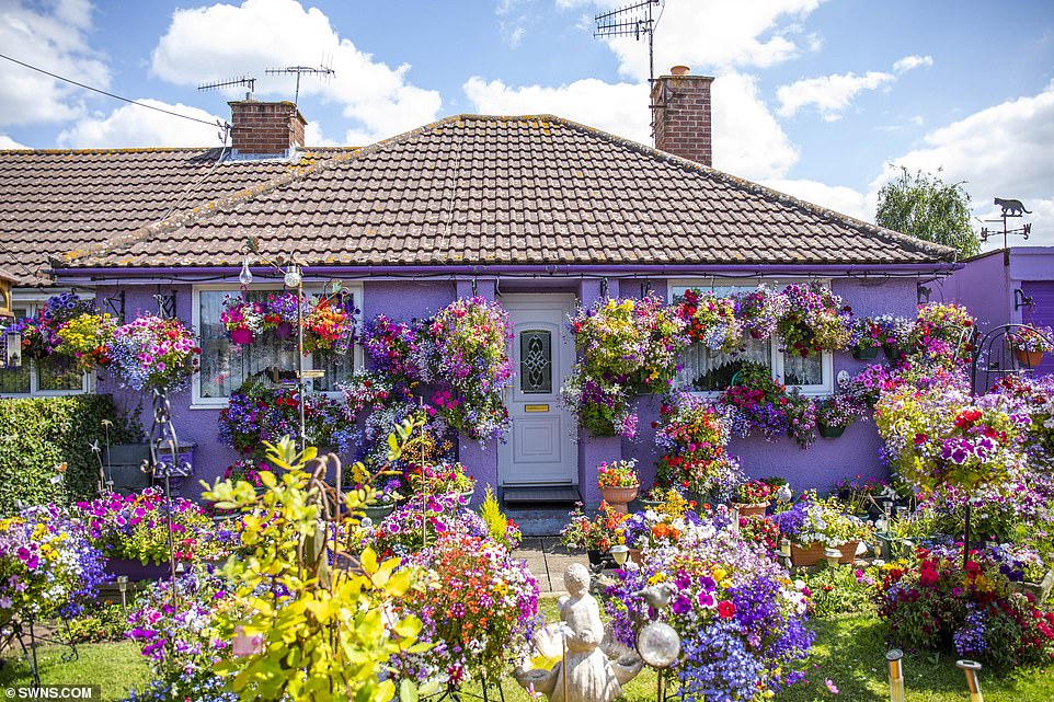 De beste tuinplanten voor kleur